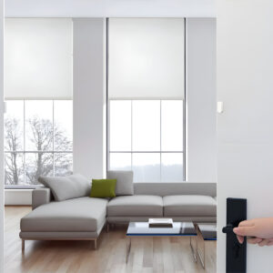 Aqara Smart Roller Shade Controller - Image 4